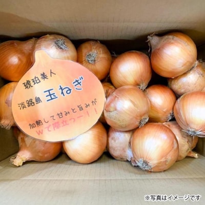 淡路島極熟玉葱20kg　シャーロットオニオン　玉ねぎ大国淡路島からの玉ねぎ