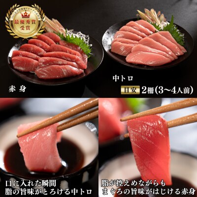 【定期便 12回】 本マグロ タイ ブリ 刺身 本まぐろ 真鯛 ぶり 堪能セット 産地直送 冷凍
