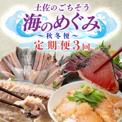 【定期便 3回】 土佐のごちそう 海のめぐみ 海鮮 秋冬便 藁焼き 鰹たたき 一夜干し 干物 漬け丼