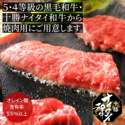 十勝ナイタイ和牛 モモ焼肉とハンバーグセット 計540g 北海道産 5・4等級黒毛和牛