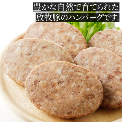 十勝しんむら牧場 放牧豚のハンバーグ 150g×10個 北海道産 冷凍