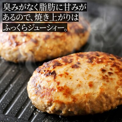十勝しんむら牧場 放牧豚のハンバーグ 150g×10個 北海道産 冷凍