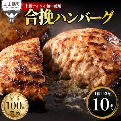 十勝ナイタイ和牛 ビーフ&ポーク ハンバーグ 120g×10個 北海道産 和牛肉使用
