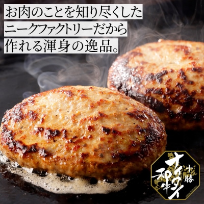 十勝ナイタイ和牛 ビーフ&ポーク ハンバーグ 120g×10個 北海道産 和牛肉使用