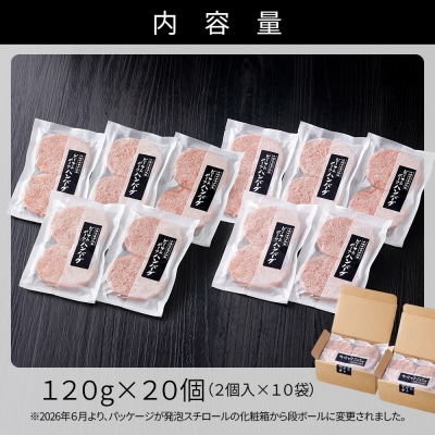 十勝ナイタイ和牛 ビーフ&ポーク ハンバーグ 120g×20個 北海道産 和牛肉使用