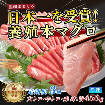 まぐろ マグロ 本鮪 黒潮本まぐろ 大トロ 中トロ 赤身 定期便 3回 計450g × 3回 刺身