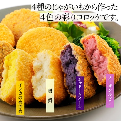 大地のコロッケ 彩り4色セット 60g×20個 国産 お惣菜 おかず コロッケ