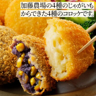 大地のコロッケ 4種セット 60g×20個 国産 お惣菜 おかず コロッケ