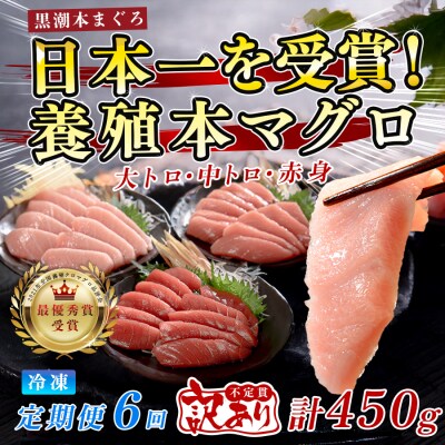 訳あり まぐろ マグロ 本鮪 黒潮本まぐろ 赤身 中トロ 大トロ 定期便 6回 計450g × 6回