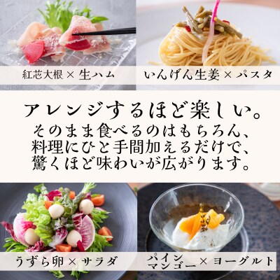 ピクルス 5本 おまかせ セット LM001
