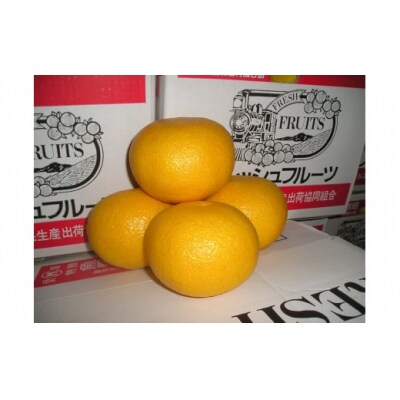 【先行予約】第一マルエムの甘夏10kg