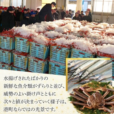 <定期便・全3回><先行予約受付中!11月上旬～3月下旬発送予定>白ねぎ(約5kg×3回・計15kg