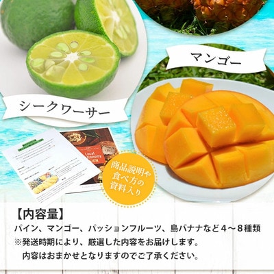 《2027年夏に順次発送予定》石垣島の夏「果物」詰め合わせ～夏のタカラモノ果物便～