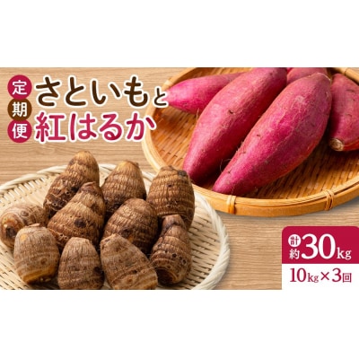 <定期便・全3回><先行予約受付中!10月上旬～2月下旬発送予定>さといもと紅はるかのセット
