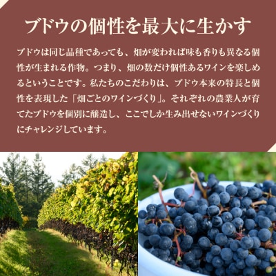 北海道十勝芽室町 つながる 750ml×1本  me032-041c