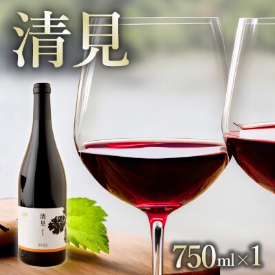 北海道十勝芽室町 赤ワイン:清見 750ml×1本(箱入) me032-044c