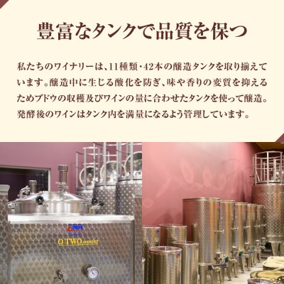 北海道十勝芽室町 赤ワイン:清見 750ml×1本(箱入) me032-044c