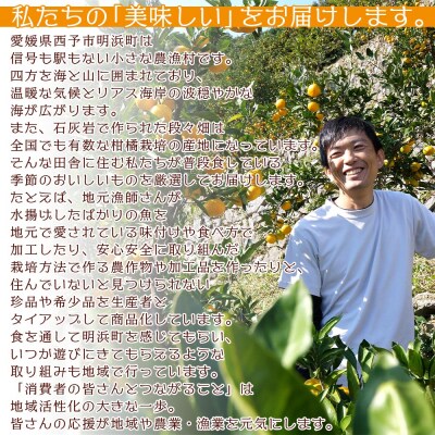 【先行受付】「5月発送」旬をお届け!河内晩柑 ANS0021 ミカン 蜜柑 果物 柑橘類 果実 