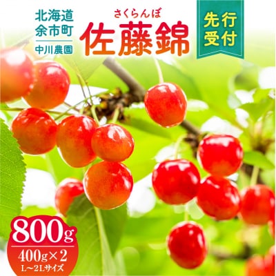 令和9年産 さくらんぼ 佐藤錦【L～2Lサイズ】400g×2【合同会社中川農園】_Y141-0004