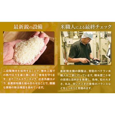令和7年産 こしひかり 無洗米  5kg 《7-14日以内に出荷予定(土日祝除く)》