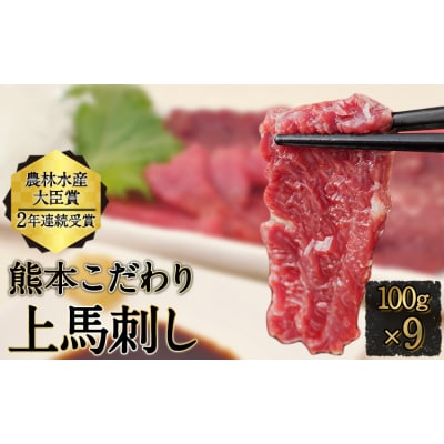 馬刺し 上赤身 ブロック 熊本肥育 たれ付き100g×9《7-14日以内に出荷予定(土日祝除く)》