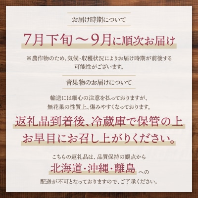 ★9/30まで★【2026年発送】とよみつひめイチジク(4パック)