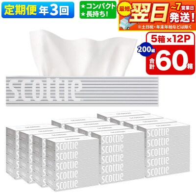 《3回定期便》ティッシュペーパー スコッティ 60箱 5箱×12P|15_nsc-051203