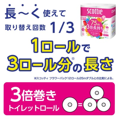 《3回定期便》トイレットペーパー 3倍長持ち 48個 ダブル|15_nsc-101203da