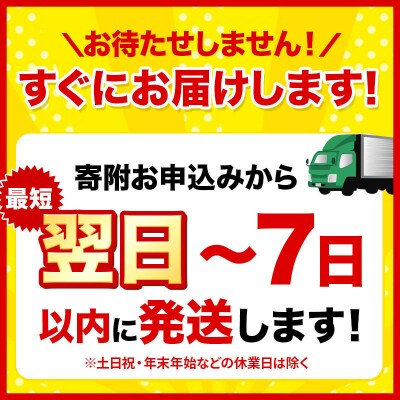 《3回定期便》トイレットペーパー 3倍長持ち 48個 シングル|15_nsc-101203sa