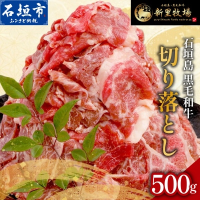 石垣島産 黒毛和牛 新里牛 多用途抜群! 切落し (500g×1) 500g