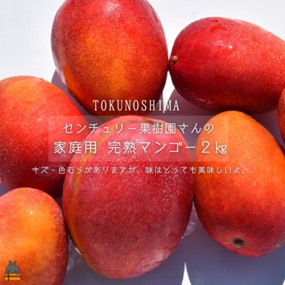 《今が旬!》【家庭用】徳之島センチュリー果樹園さんの完熟マンゴー約2kg