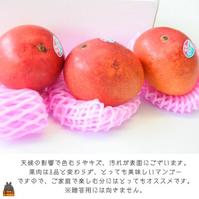 ≪今が旬!≫【家庭用】徳之島センチュリー果樹園さんの完熟マンゴー1kg(2～3玉)