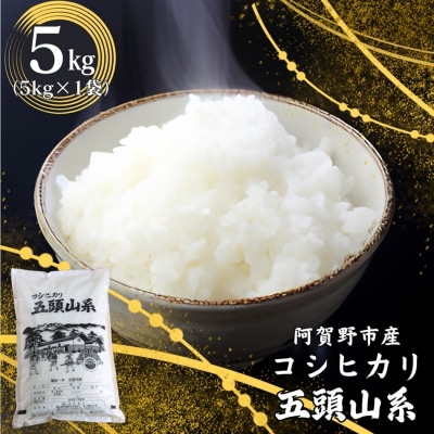 【令和7年産】コシヒカリ5kg「米屋のこだわり阿賀野市産」
