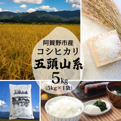 【令和7年産】コシヒカリ5kg「米屋のこだわり阿賀野市産」