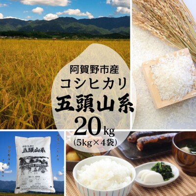 【令和7年産】コシヒカリ　どーんと20kg!「米屋のこだわり阿賀野市産」
