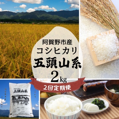 【令和7年産】【2回定期便】「米屋のこだわり阿賀野市産」コシヒカリ2kg×2回