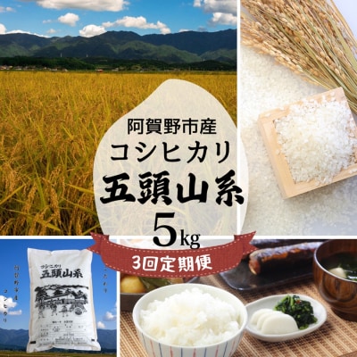 【令和7年産】【3回定期便】「米屋のこだわり阿賀野市産」コシヒカリ5kg×3回