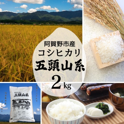 【令和7年産】「米屋のこだわり阿賀野市産」コシヒカリ2kg