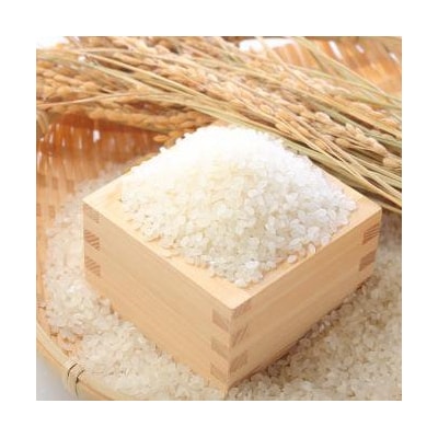 【令和7年産】「米屋のこだわり阿賀野市産」コシヒカリ2kg