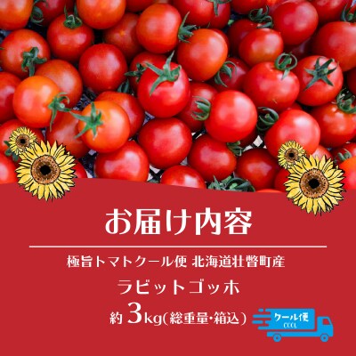 極旨トマトクール便 壮瞥町産　ラビットゴッホ3kg　中玉トマト　SBTAJ004