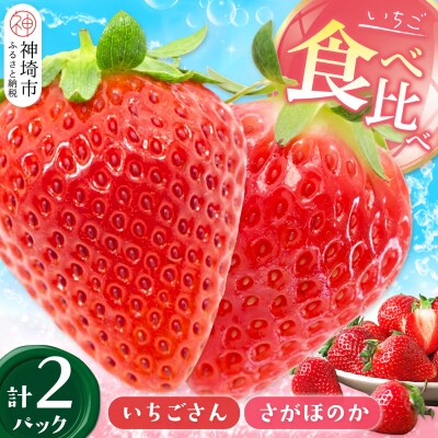 【2027年1月中旬 発送開始】いちご食べ比べ 2パック(いちごさん・さがほのか)(H116135)