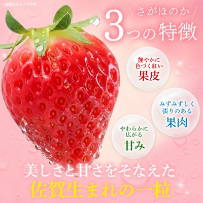 【2027年1月中旬 発送開始】いちご食べ比べ 2パック(いちごさん・さがほのか)(H116135)