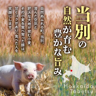 浅野農場厳選豚肉ブロック食べ比べセット【6ヶ月定期便】_tb02-015