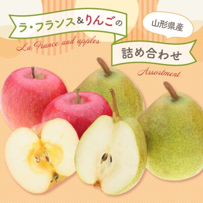 【先行受付】 令和8年産 ラ・フランス & りんご 詰め合わせ 計 約3kg