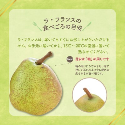【先行受付】 令和8年産 ラ・フランス & りんご 詰め合わせ 計 約3kg