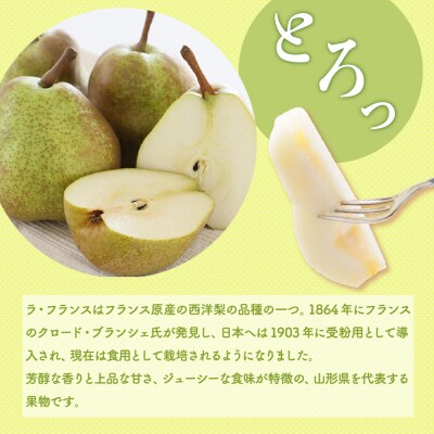 【先行受付】 令和8年産 ラ・フランス 約3kg 8玉 ～ 9玉