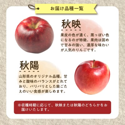 【先行受付】 令和8年産 舘山りんご 品種おまかせ 約5kg 16玉 ～ 20玉
