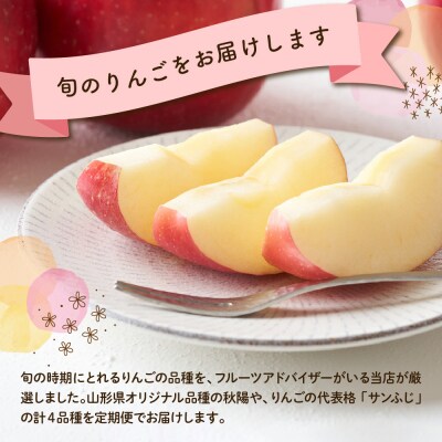 【先行受付】 定期便 令和8年産 りんごの定期便 全4回 4種 × 約2kg 計 約8kg