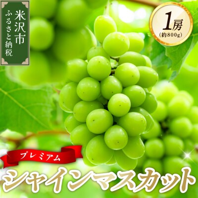 【先行受付】 令和8年産 プレミアム シャインマスカット 1房 約800g