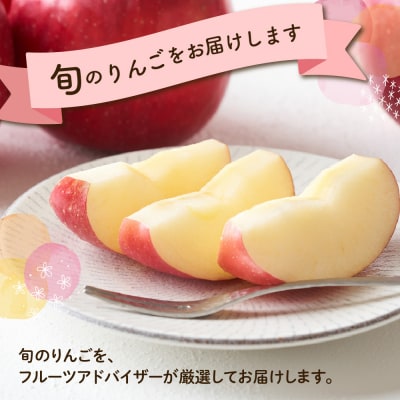 【先行受付】 令和8年産 りんご 秋陽 約2kg 6玉 ～ 8玉